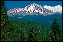 Forested slopes and Mount Shasta. California, USA ( color)