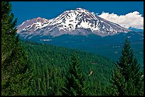 Forested slopes and Mount Shasta. California, USA