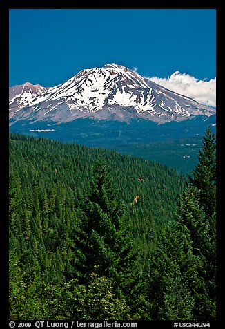 Mount Shasta seen from Castle Crags State Park. California, USA (color)