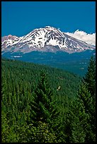 Mount Shasta seen from Castle Crags State Park. California, USA