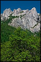 Limestone cliffs, Castle Crags State Park. California, USA (color)