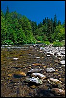 Clear Sacramento River, Castle Crags State Park. California, USA (color)