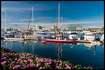 Alameda marina and Oakland skyline. Oakland, California, USA