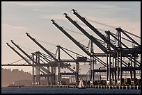 Giant cranes dwarf yacht Port of Oakland. Oakland, California, USA (color)