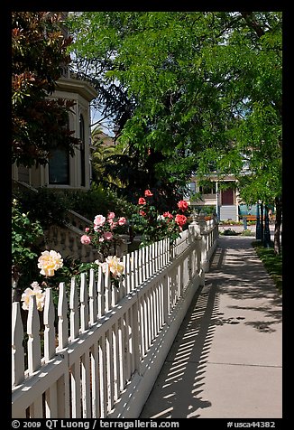 Manicured frontyard with flowers, Preservation Park. Oakland, California, USA (color)