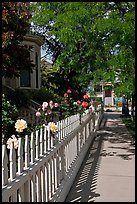 Manicured frontyard with flowers, Preservation Park. Oakland, California, USA (color)