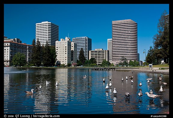 Lake Merritt, first US wildlife refuge, designated in 1870. Oakland, California, USA (color)