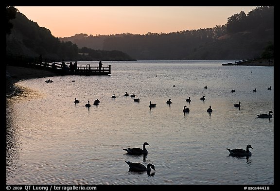 Ducks and pier at sunset, Lake Chabot, Castro Valley. Oakland, California, USA