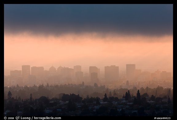 Oakland skyline backlit in late afternoon. Oakland, California, USA (color)