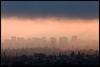 Oakland skyline backlit in late afternoon. Oakland, California, USA