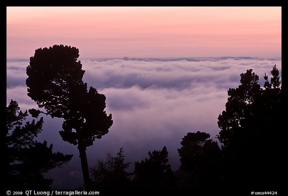 Low clouds at sunset seen from foothills. Oakland, California, USA