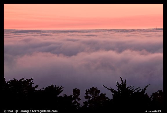 Sea of clouds at sunset. Oakland, California, USA