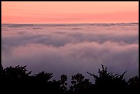 Sea of clouds at sunset. Oakland, California, USA (color)