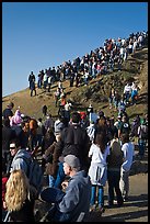 Spectators on bluff during mavericks contest. Half Moon Bay, California, USA ( color)