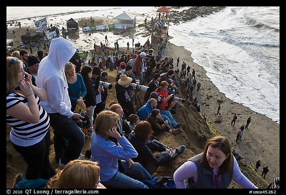 View from the bluff during mavericks contest. Half Moon Bay, California, USA