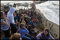 View from the bluff during mavericks contest. Half Moon Bay, California, USA (color)