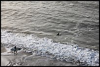 Surfers departing the beach towards the break. Half Moon Bay, California, USA