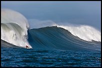 Surfing big wave at the Mavericks. Half Moon Bay, California, USA (color)