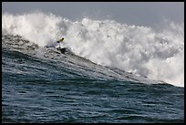 Surfer in Maverick wave. Half Moon Bay, California, USA