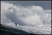 Surfer in Mavericks break. Half Moon Bay, California, USA