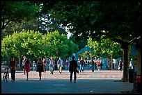 Students walking on Sproul Plazza. Berkeley, California, USA