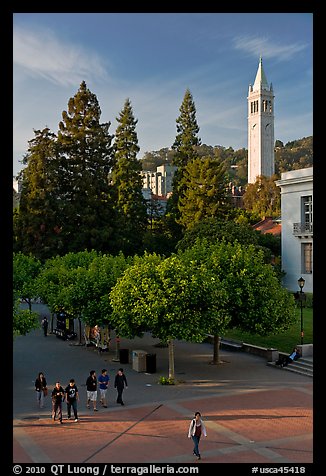 Campus of University of Berkeley with Campanile. Berkeley, California, USA (color)