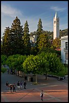 Campus of University of Berkeley with Campanile. Berkeley, California, USA