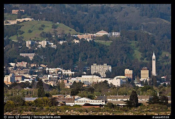 Buildings and hills in spring. Berkeley, California, USA