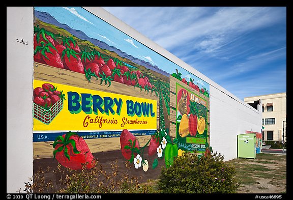 Wall with mural celebrating berry growing. Watsonville, California, USA (color)