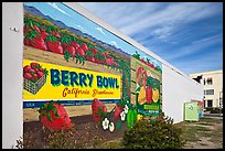 Wall with mural celebrating berry growing. Watsonville, California, USA (color)