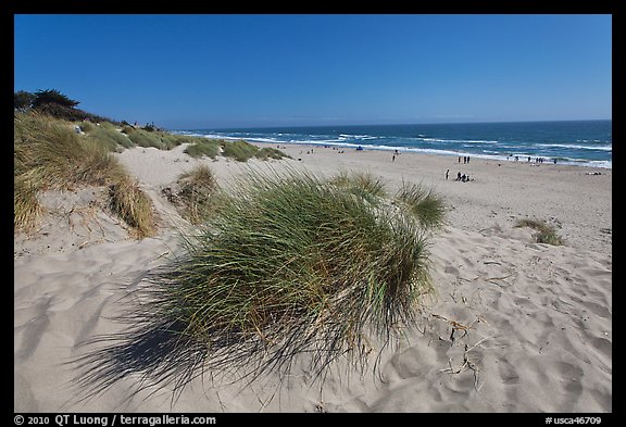 Palm Beach state park. Watsonville, California, USA (color)