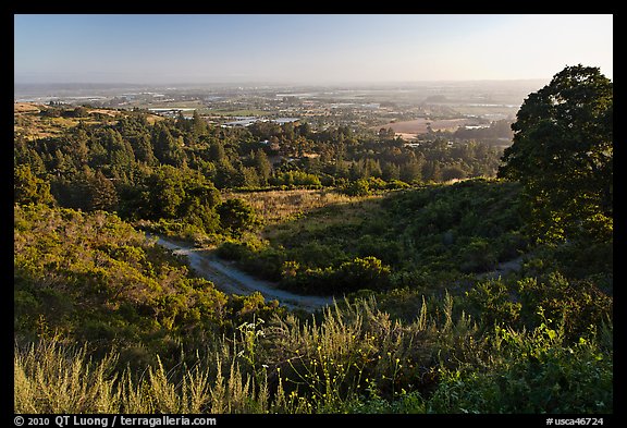 View from Heckler Pass road. Watsonville, California, USA