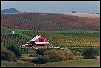 Red barn and wine country landscape from above. Napa Valley, California, USA