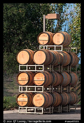 Barels of wine stacked outside, Artesa Winery. Napa Valley, California, USA (color)