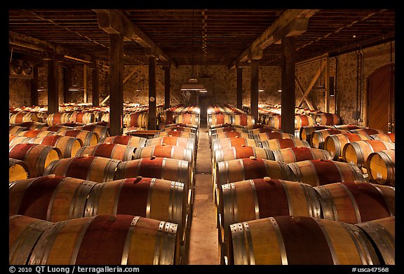 Wine cellar, Hess Collection winery. Napa Valley, California, USA (color)