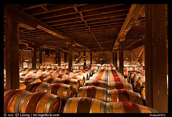 Barrels of wine in wine cellar. Napa Valley, California, USA (color)