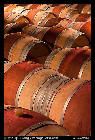 Oak barrels, Hess Collection winery. Napa Valley, California, USA
