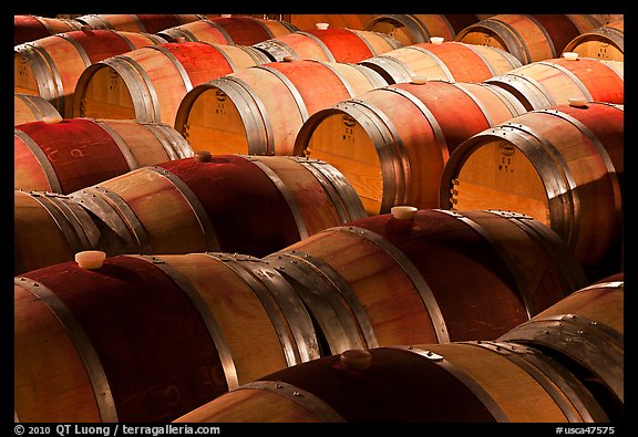 Rows of wine barrels in cellar, close-up. Napa Valley, California, USA (color)
