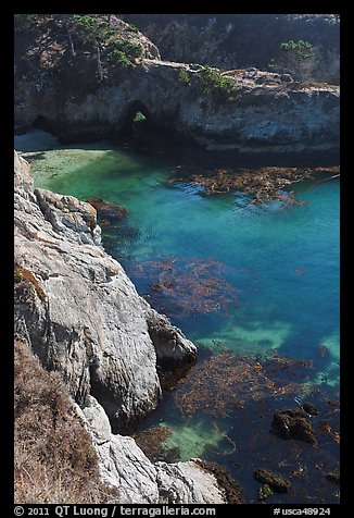 Emerald waters and kelp, China Cove. Point Lobos State Preserve, California, USA (color)