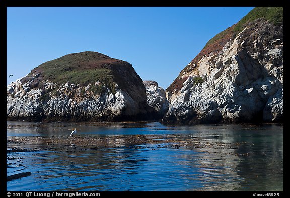 Bird and cliffs, China Cove. Point Lobos State Preserve, California, USA (color)