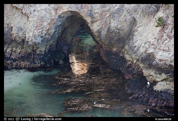 Sea arch, China Cove. Point Lobos State Preserve, California, USA (color)