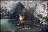 Sea arch, China Cove. Point Lobos State Preserve, California, USA (color)