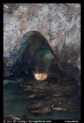 Sea arch and reflection. Point Lobos State Preserve, California, USA (color)