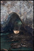 Sea arch and reflection. Point Lobos State Preserve, California, USA