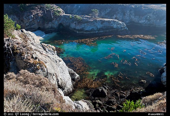 Rocks, water, and kelp, China Cove. Point Lobos State Preserve, California, USA (color)
