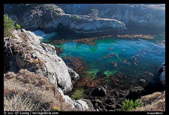 Rocks, water, and kelp, China Cove. Point Lobos State Preserve, California, USA