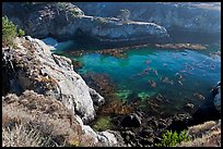 Rocks, water, and kelp, China Cove. Point Lobos State Preserve, California, USA (color)
