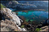 Rocks, water, and kelp, China Cove. Point Lobos State Preserve, California, USA