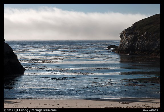 Marine layer offshore China Cove. Point Lobos State Preserve, California, USA (color)