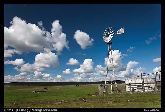 Pasture in early spring with windmill. California, USA (color)